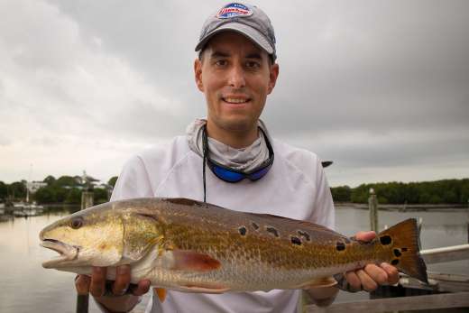 The Redfish that Won Cedar Key Marina's November 2015 Fishing Tournament