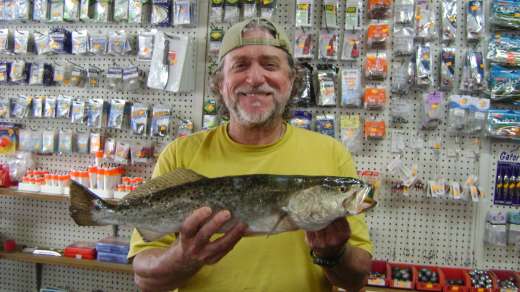 Mike Riley with Cedar Key Marina's November 2015 Winning Trout