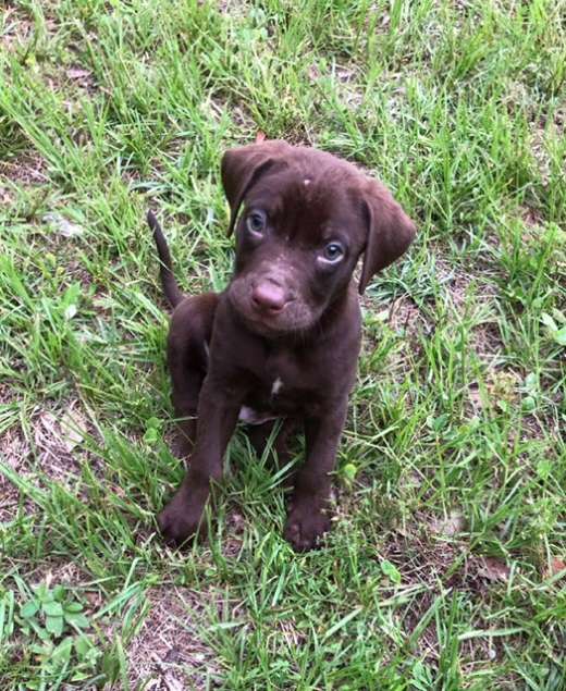 Boone, Captain Kyle's new 1st mate,  he's ready for action