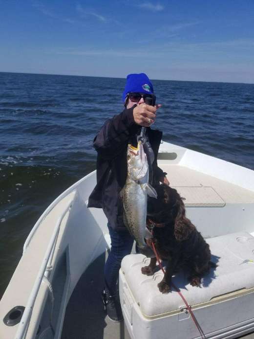 Captain Kyle's crew and dog looking at dinner