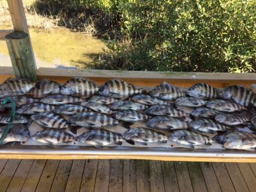 Chelsi, Roger and Captain John On A Scouting Day For Sheepshead