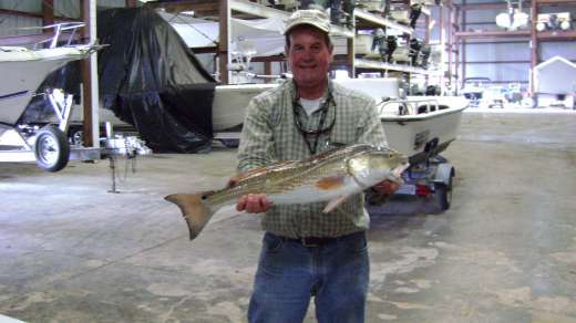Greg with a brute of Redfish
Keywords: Redfish,Cedar Key,Florida