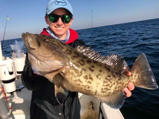 A fine grouper, released unharmed