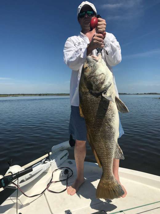 Sea monster are in Cedar Key