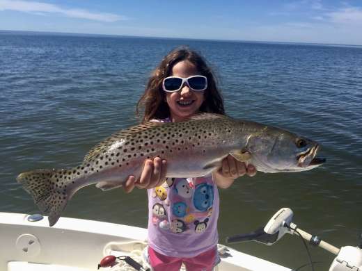 Classic Speckled Trout, just like in the book