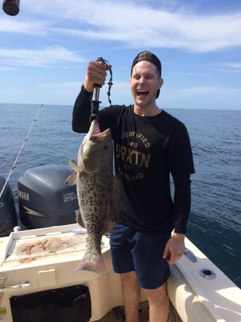 Gag grouper, released unharmed
