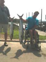 Kingfish Caught Out Of Cedar Key Florida