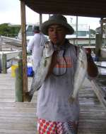 Food ... aka Specked Trout