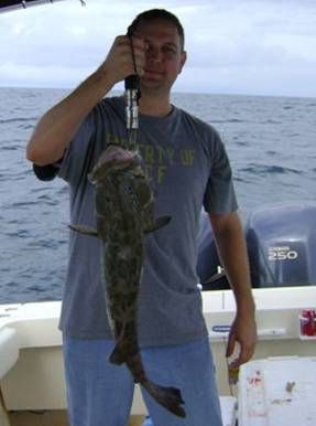 A Cedar Key Off Shore Grouper
