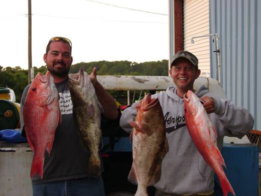 After The Cedar Key Red Snapper & Grouper